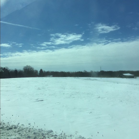 Meet your Posher, Shirrie - Picture 1 of 1